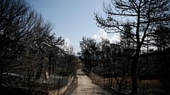 Σχέδιο για τους τοξικούς ρύπους στο Μάτι εκπονεί ο Ερυθρός Σταυρός