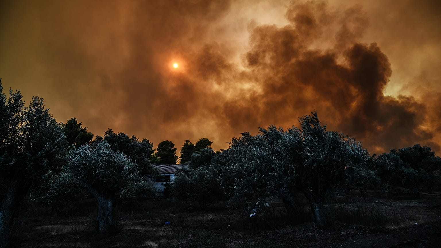 Εύβοια: Αισιοδοξία για την εξέλιξη της πυρκαγιάς