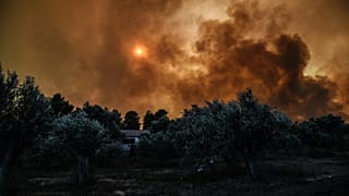 Εύβοια: Αισιοδοξία για την εξέλιξη της πυρκαγιάς