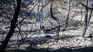 Εύβοια: Αυξημένη επιφυλακή των πυροσβεστικών δυνάμεων