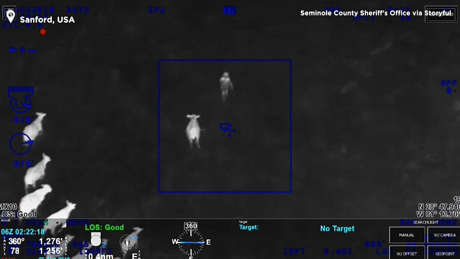 Vídeo: un rebaño de vacas ayuda a detener a un sospechoso