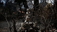 Πυρκαγιά Αν. Αττικής: Στους 95 οι νεκροί
