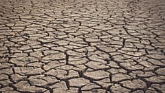 Засуха и катастрофически низкий урожай: что принесла Европе летняя жара?