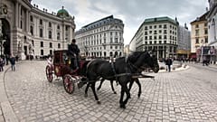 Ein Fiaker in Wien