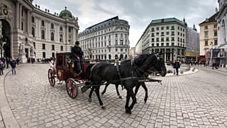 Ein Fiaker in Wien