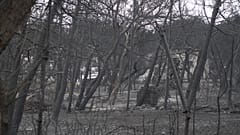 Στους 96 οι νεκροί από την πυρκαγιά στο Μάτι