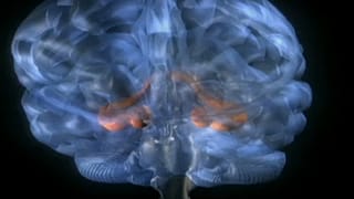 Új eljárás az epilepszia kezelésére 