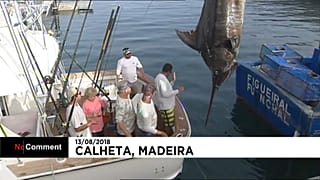 Una captura de récord