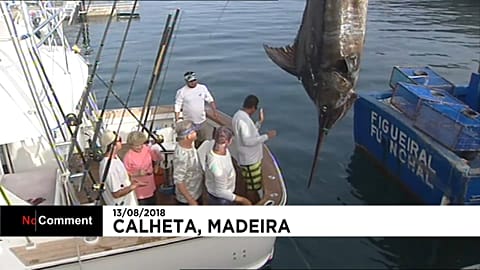 Una captura de récord