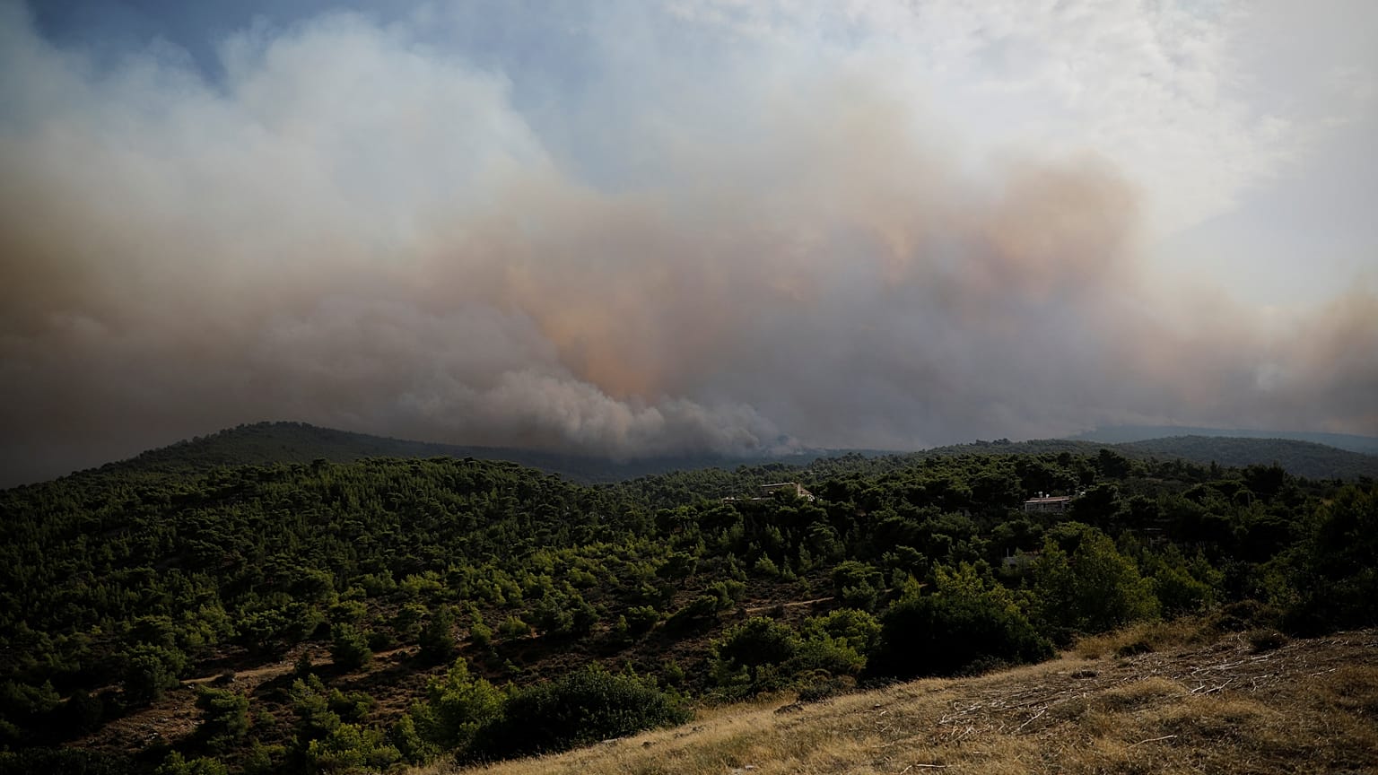 Πυρκαγιά στον Άγιο Στέφανο Αττικής