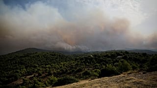 Πυρκαγιά στον Άγιο Στέφανο Αττικής
