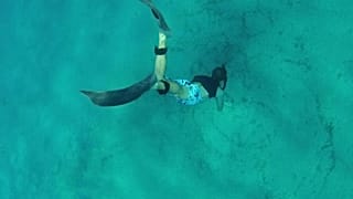 Morì durante un'immersione in Corsica: ritrovati i suoi ultimi scatti dopo l'appello social