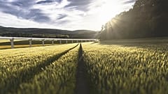 اجرای پروژه نسل جدید قطارهای ما فوق صوت در یک روستای فرانسوی