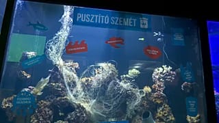 Külön akvárium a szemétnek