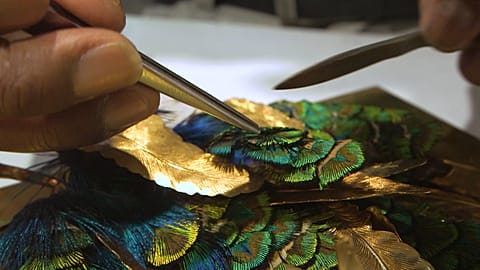 Visiting one of the last remaining feathercraft artists 