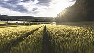 Tren del futuro se instala en el campo francés