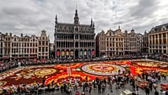 Blumenteppich in Brüssel