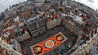 Watch: Brussel's Grand Place square covered with colourful flowers 