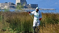 Σε έξαρση ο ιός του Δυτικού Νείλου - Όλα όσα πρέπει να γνωρίζουμε