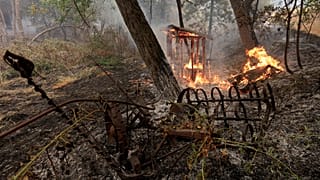 Feuertornado wütet in nordkalifornischer Stadt