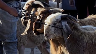 الحصار والفقر يحولان عيد غزة إلى مأساة