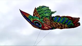 Festival Internacional de Papagaios de Papel no Sri Lanka