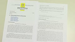 Pedofilia, il Papa chiede perdono 
