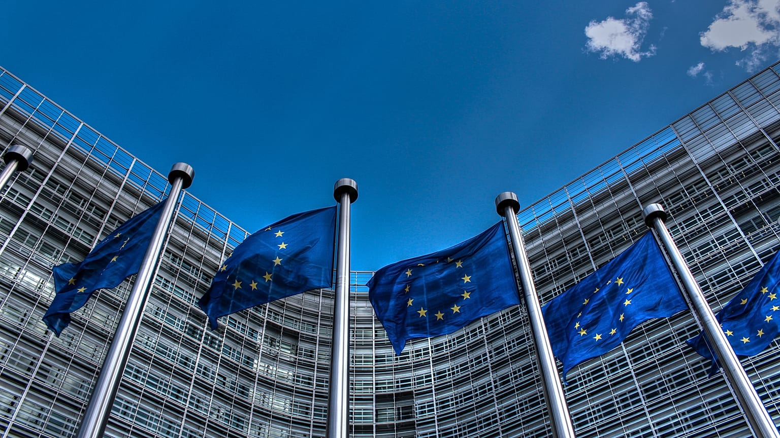  European Union Flags 2