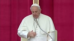 Papst zu sexuellem Missbrauch: Trauer und Scham