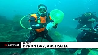 Watch: Scuba diving lesson turns into shark rescue effort