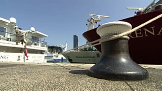 Le Danube au plus bas