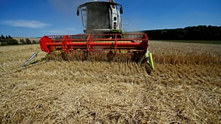 Dürreschäden: Bund will Bauern mit 150 Millionen Euro helfen
