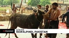 Watch: Muslims in Pakistan celebrate Eid al-Adha