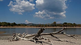 Seca reduz leito do Danúbio a mínimos