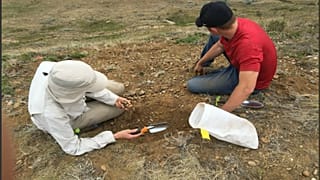 Kanada'da 23 milyon yıllık fosil bulundu
