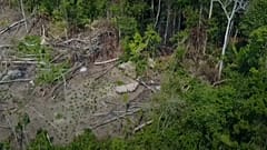 An uncontacted tribe in Brazil