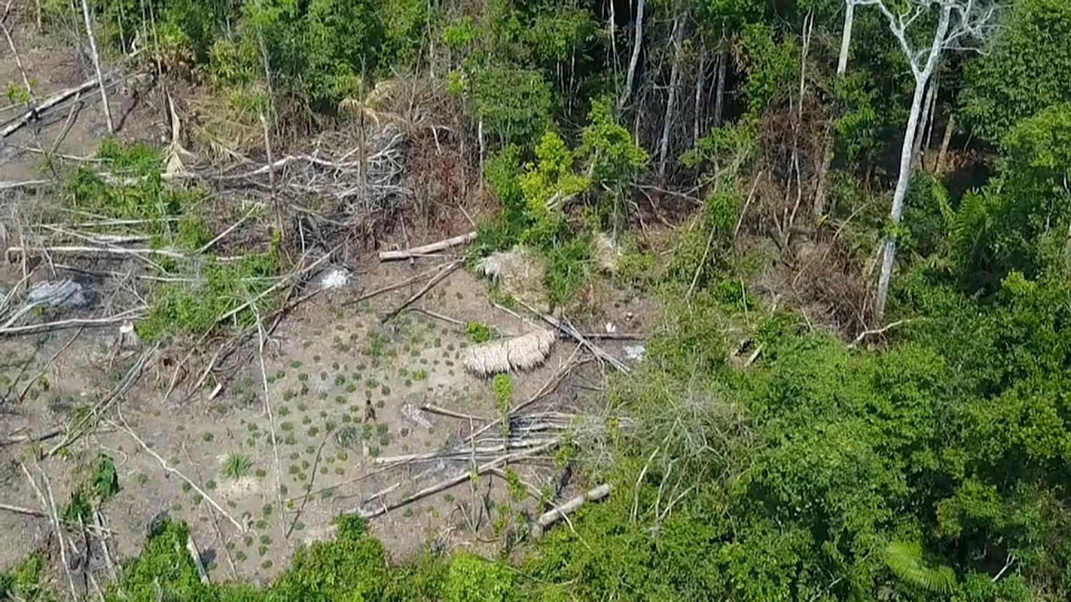 Les premières images d'un peuple isolé d'Amazonie