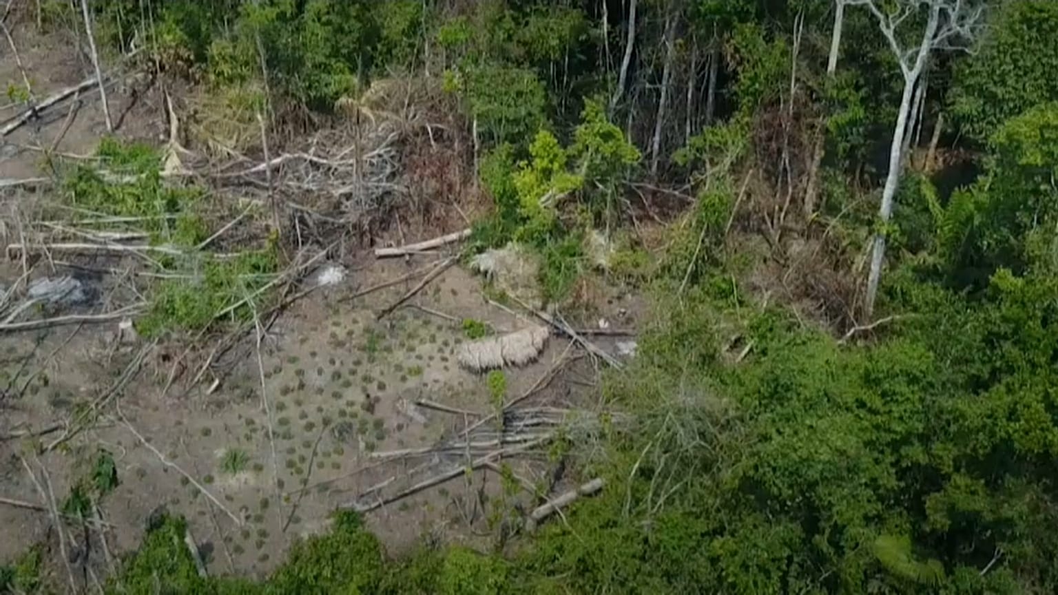 Revelan las primeras imágenes de una tribu aislada en la Amazonía