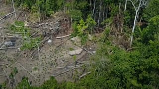 Revelan las primeras imágenes de una tribu aislada en la Amazonía