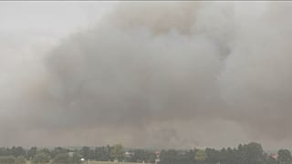 Inferno fuori Berlino, bruciati 400 ettari