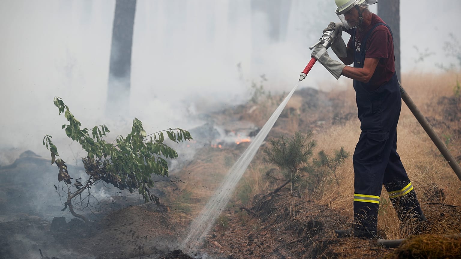 A 50 km de Berlin, l'incendie est maîtrisé