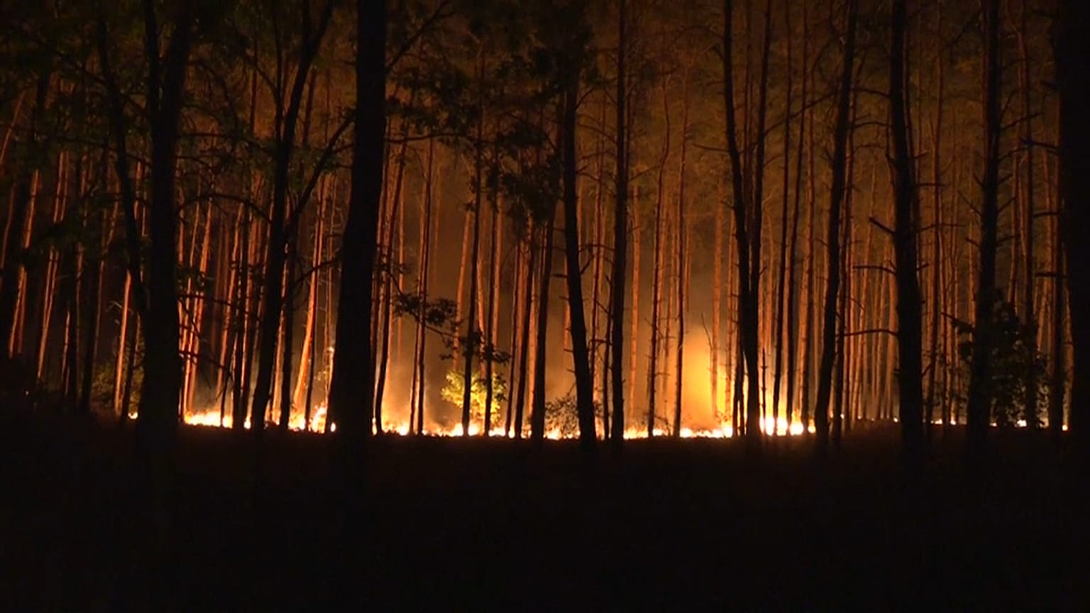 Incêndio nos arredores de Berlim ameaça casas e pessoas