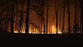 Incêndio nos arredores de Berlim ameaça casas e pessoas