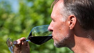 Même un peu d'alcool vous fera du mal, affirme une étude