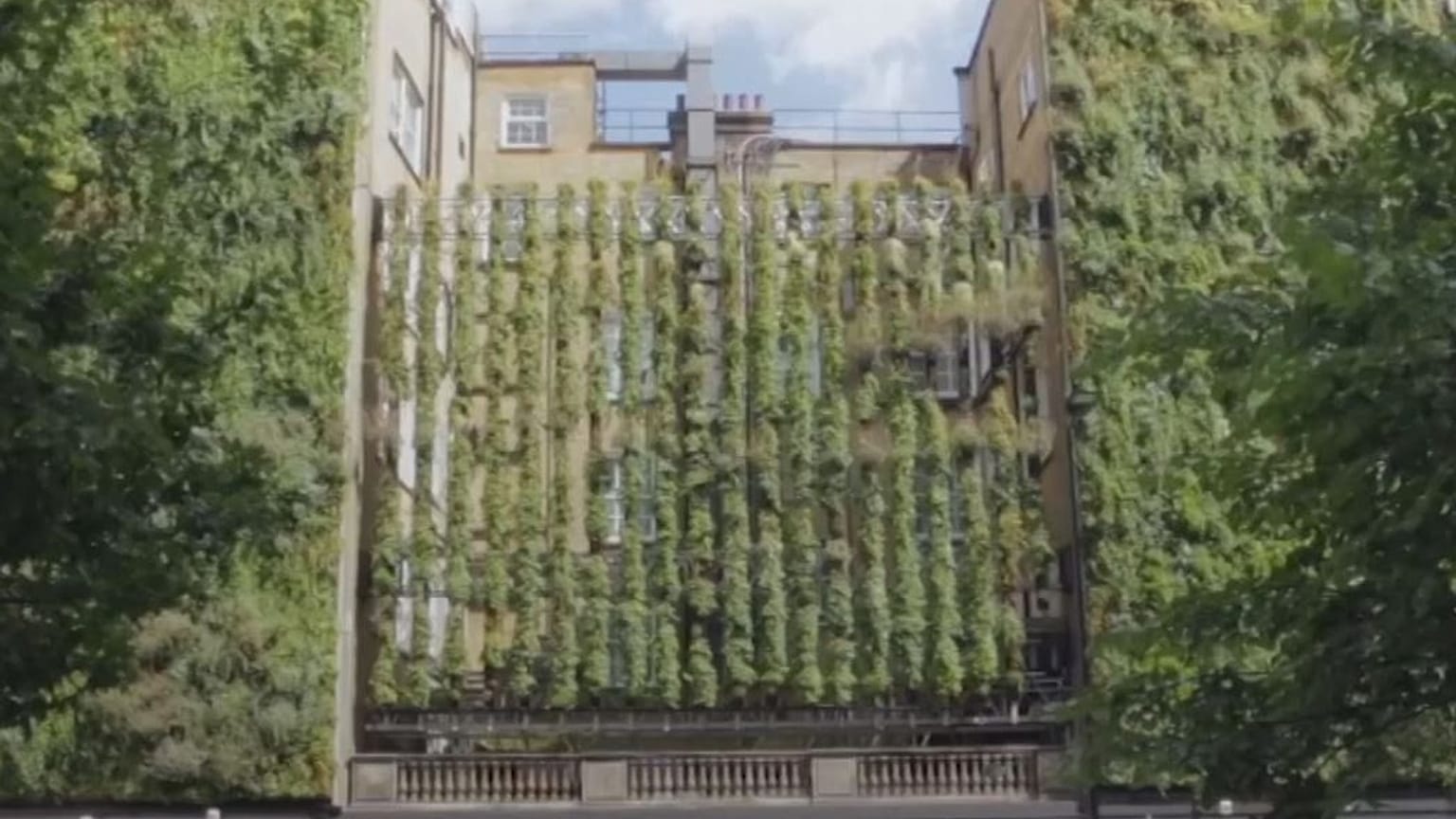 Watch: Hotel in London goes green 
