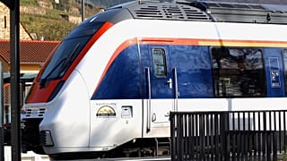 Mehr als 20 Passagiere beteiligen sich an Massenschlägerei in Zug von Freiburg nach Basel