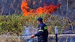 Πυρκαγιά στις Ροβιές Ευβοίας- Δεν απειλούνται κατοικίες