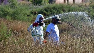 Κ.Μακεδονία: Σαράντα τα κρούσματα του ιού του Δυτικού Νείλου