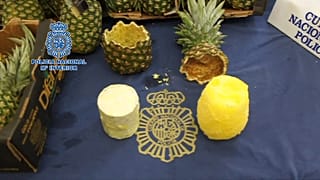 67 kilos de cocaína dentro de unas piñas