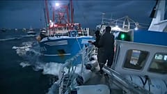 Гребешки раздора: кто виноват?
